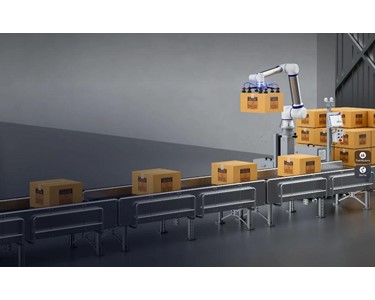 Elite Robots - Palletising Unit (Fixed Height) CPF10