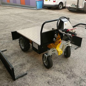 Carrier Truck, 300kg Cap | DT-300L