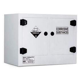 110L Corrosives Storage Cabinet 