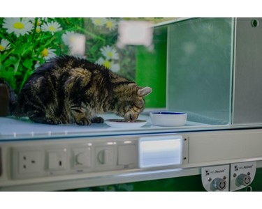 CASCO - WellKennels | Cat Condo Enclosure