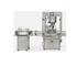 Automatic Filling Production Line