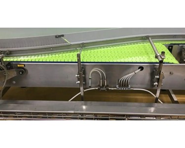 Icon Equipment Slat Conveyor | MicroDry