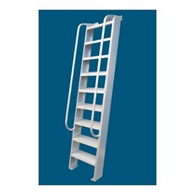 Boat Access Ladders