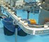 Wire Belt & Hygienic Conveyors | Smalte