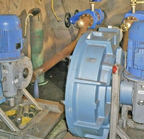 How to easily move animal sludge with the right pump How to easily move animal sludge with the right pump