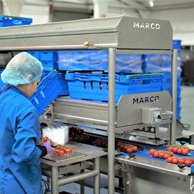 Food Packaging System - Tomato Packing Solutions