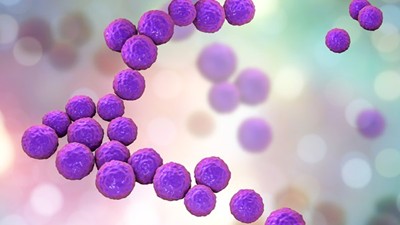 Comprehensive report on antibiotic resistance identifies challenges