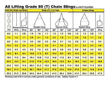 All Lifting 2 Legs Chain Sling with Self Locking Hooks Grade 80
