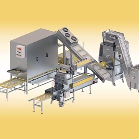 IFEA Industrial Pasta Machinery