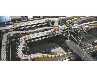 Foodmach - Food Conveyor System