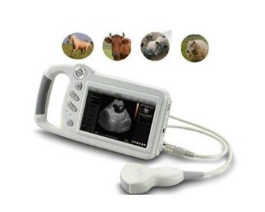 Veterinary Ultrasound Scanner L80 Compact Touch Screen