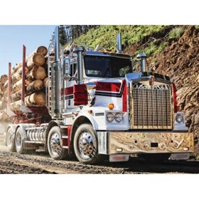 Logging Truck | T659