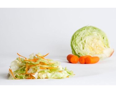 Eillert - Vegetable Slicing and Cutting Machine | G-4400 Slicer