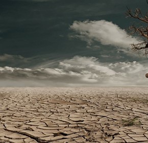 The Ongoing Drought in Australia: what it means for you The Ongoing Drought in Australia: what it means for you