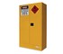 Indoor Dangerous Goods Storage Cabinet - 250L | TECSCI250 