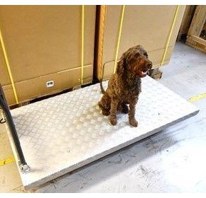 Weighing Animals with a Portable Trolley Weighing Animals with a Portable Trolley