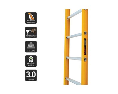 3.0m Straight Access Ladder