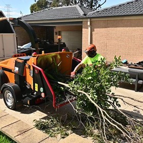 The Ultimate Business Growth Guide for Arborists & Tree Care Professionals