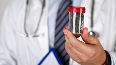 GPs concerned about changes for prescribing medicinal cannabis