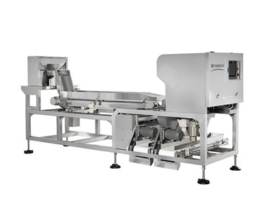 Taiho - Belt Colour Sorter