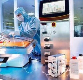 Regenerative Medicine Media for Cell and Gene Therapy Applications