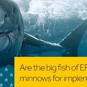 Are the big fish of ERP using minnows for implementation?
