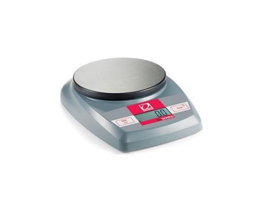 Industrial Bench Scales | CL Series