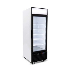 Upright Single Glass Door Display Freezer | 540 Litre 