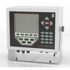 Interface Weight Indicator & Controller | 920i