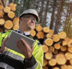 Resource-consuming Measurements on Growth Drilling Cores CAN be replaced Resource-consuming Measurements on Growth Drilling Cores CAN be replaced