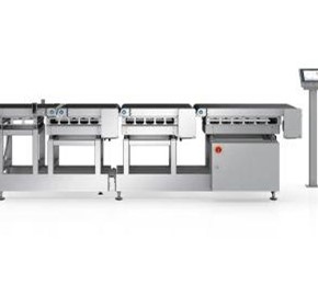 Triple Scale Catchweigher | HC-FL-T