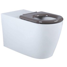 Toilet Pan | Ceramic Accessible