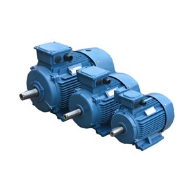 3 Phase Cast Iron IE2 Electric Motor