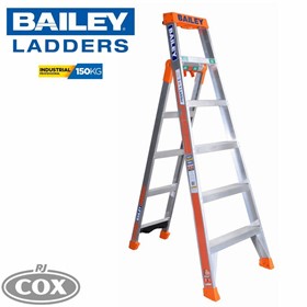 Step/Leaning/Straight (SLS) 3 in 1 Ladder