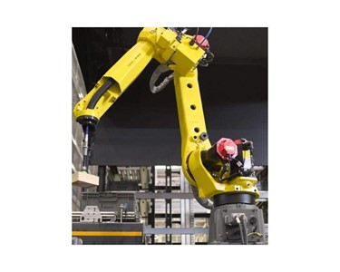Dematic - Robotic Palletiser | High-Performing