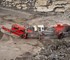 Sandvik - Sandvik QI442 Mobile Impact Crusher