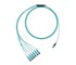 Panduit Indoor Fiber Optic Cable | FXTRP8NQSONF010