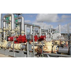 Gas Conditioning and Control Skid