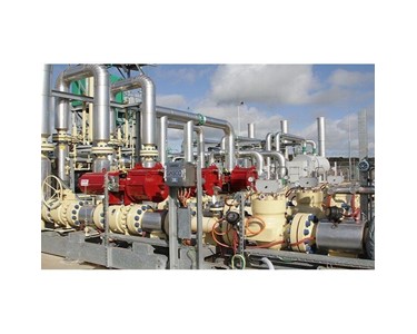 Gasco - Gas Conditioning and Control Skid