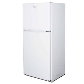 Solar Friendly Commercial Refrigerator WS188