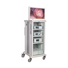1288 Veterinary Surgical Endoscopic Tower 