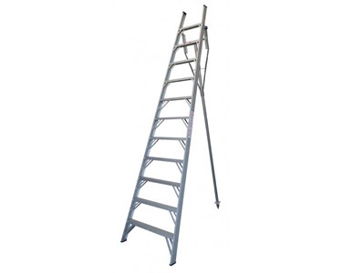 Indalex - Aluminium Orchard Access Ladder 12ft | Pro Series