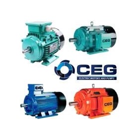 CEG Electric Motors and Pumps