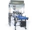 Reach Food Systems - Pneumatic Depositors