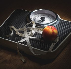 Can doctors regain credibility in the fight against obesity Can doctors regain credibility in the fight against obesity