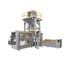 Concetti - Open Mouth Bagging Machine | IPF 25