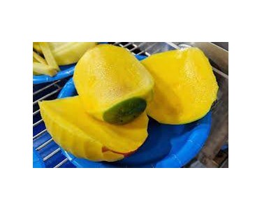 PND Fruit Processing Machinery - Mango And Kiwi Peeling Machine | PL4M PL6M PL8M