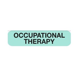 Professional Chart Labels | Occupational Therapy