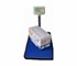 Industrial Weighing Scales | TCS Series