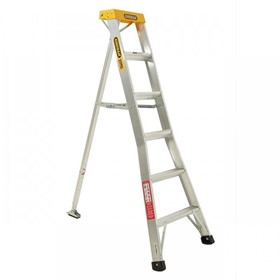 Aluminium Orchard Access Ladder